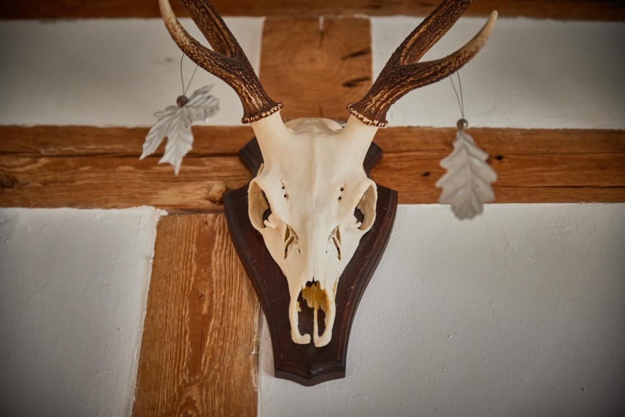 Ferienhaus Asten-Lodge Winterberg Kültér fotó